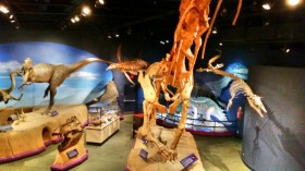 Dinosaurs at The Exploration Place