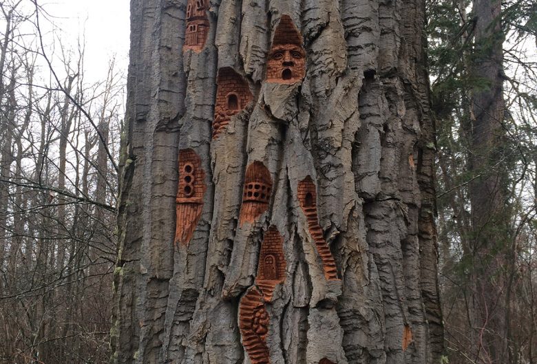 Carvings in a tree at Cottonwood Island Park