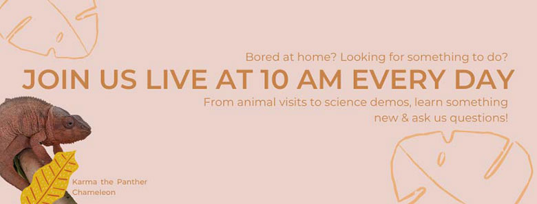 animal and science demos poster