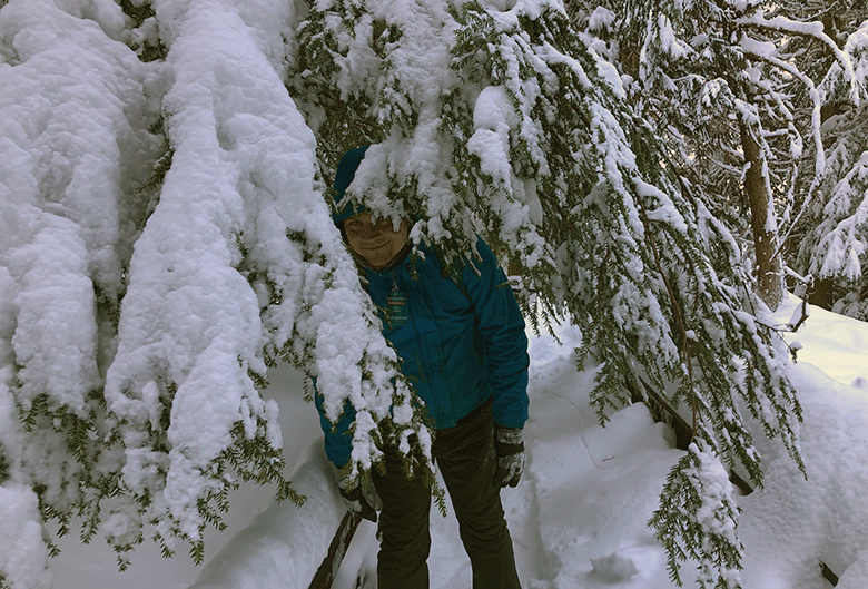 Snowshoeing at Ancient Forest/Chun T'oh Whudujut Provincial Park